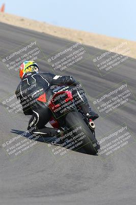 media/Feb-04-2023-SoCal Trackdays (Sat) [[8a776bf2c3]]/Turn 10 Backside (1010am)/